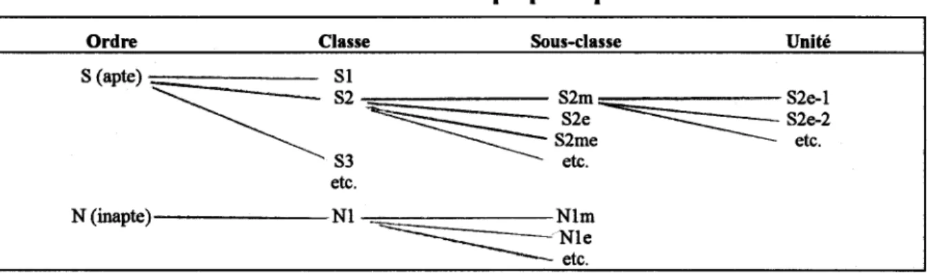 Tableau 11.  Classification proposée par la FAO 