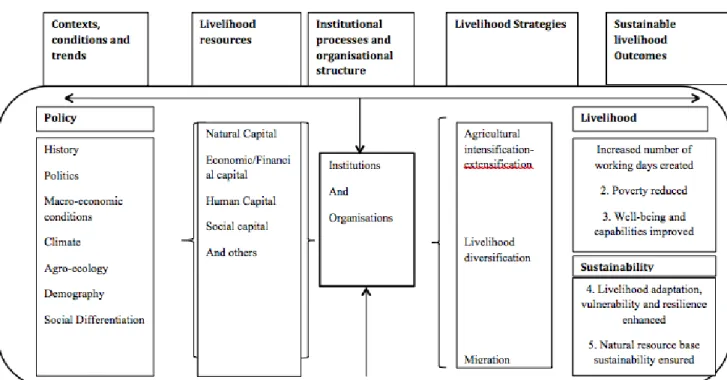 Figure 0.2 – Cadre des moyens d’existence durable: Source: Scoones (1998) .