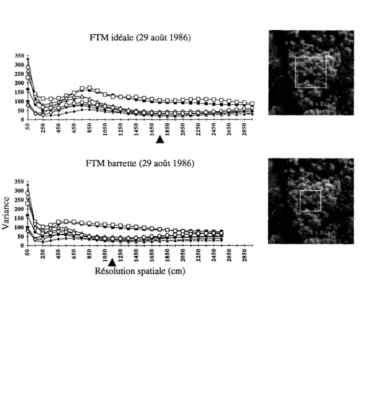 Figure  13  Variance  spectrale  en fonction  de  la résolution  spatiale  pour la classe forestière  3  et  voisinage  de  pixels  correspondant  à  la  résolution  spatiale  optimale  délimité  sur  un  site  représentatif pour les trois conditions d'acq