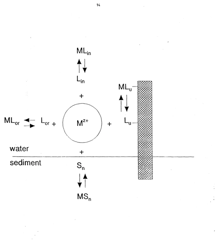 Figure 2.  Schematic representation of the various reactions occurring in the water overlying the  sediments