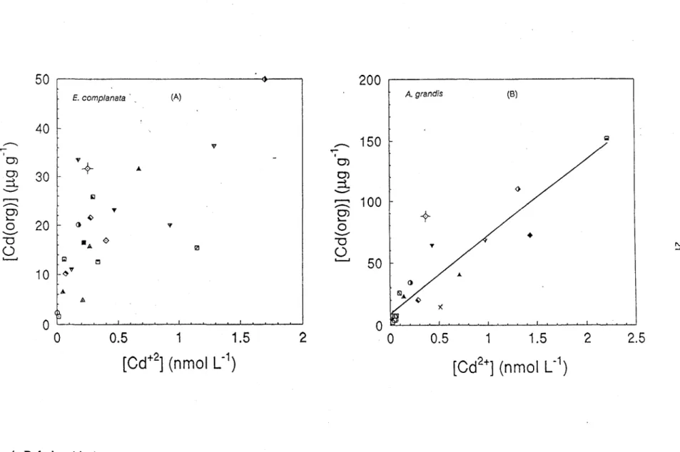 Figure 4.  Relationship between Cd concentrations in the tissues  (whole organisms)  of  E