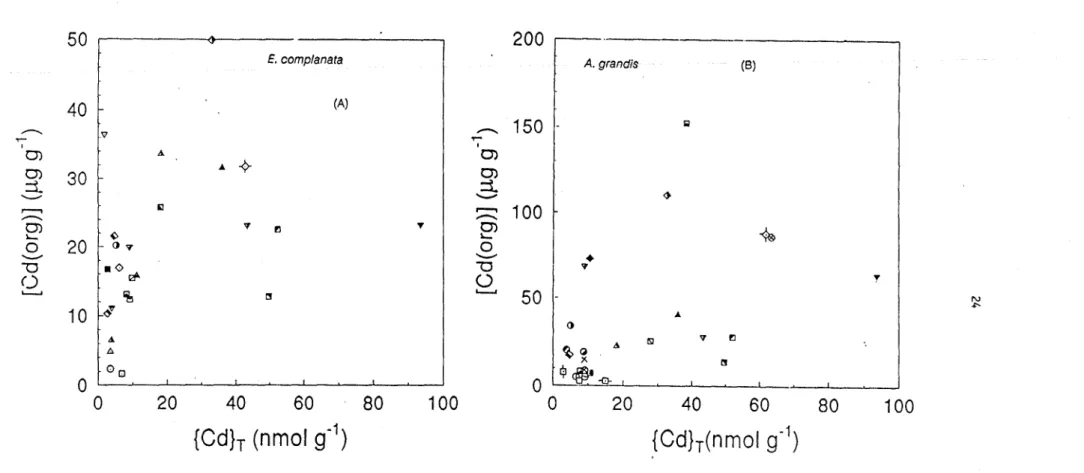 Figure 5.  Relationship between Cd concentrations in the tissues  (whole organisms)  of  E