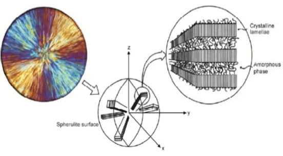 Figure 2. A spherulite of iPP as observed in the optical microscope [9]. 