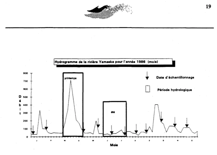 Figure 3 - Saisons printanière et estivale représentées sur l'bydrogramme de  la rivière Yamaska  à  l'embouchure pour l'année 1986  (débit en m 3 /s) 