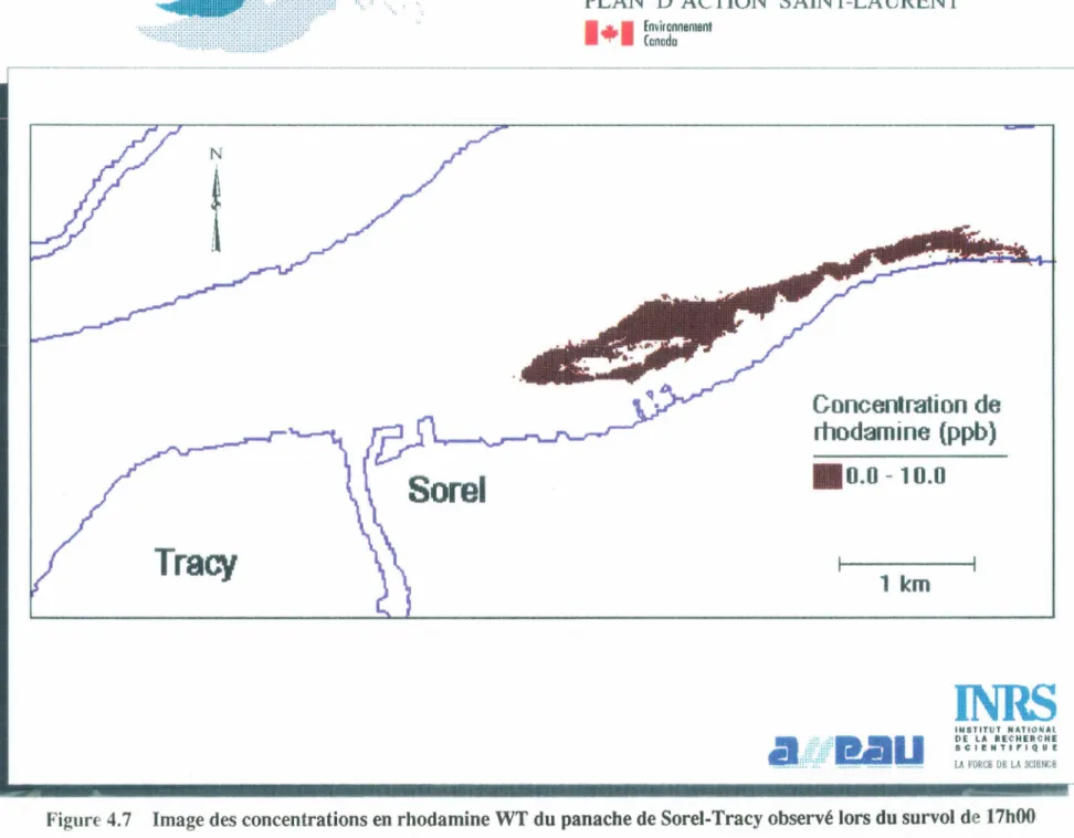 Figure 4. 7  Image des concentrations en rhodamine WT du panache de Sorel-Tracy observé lors du survol de 17h00 