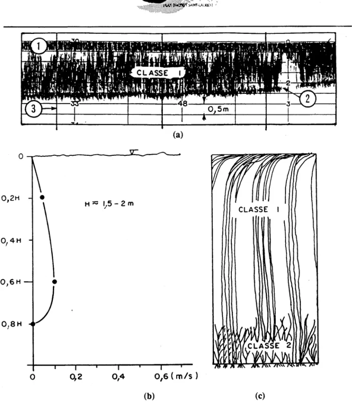 Figure 3.1  Image bioacoustique (a), courantométrique (b) et structure végétale (c)  des her- her-biers de classe 1, densité 4+ 