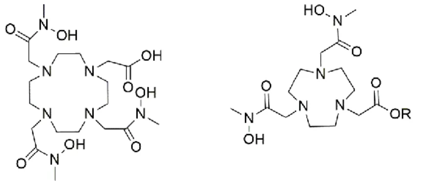 Figure 11 : Macrocyclic BFC bearing hydroxamic arms DOTHA 2  and NOTHA 2