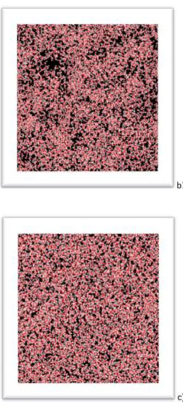 Figure 1.8 – Molecular dynamics simulations of the 3D distribution of water molecules  for SCW at 400 °C and three different densities: (a)    = 0.17 g/cm 3 , (b)  