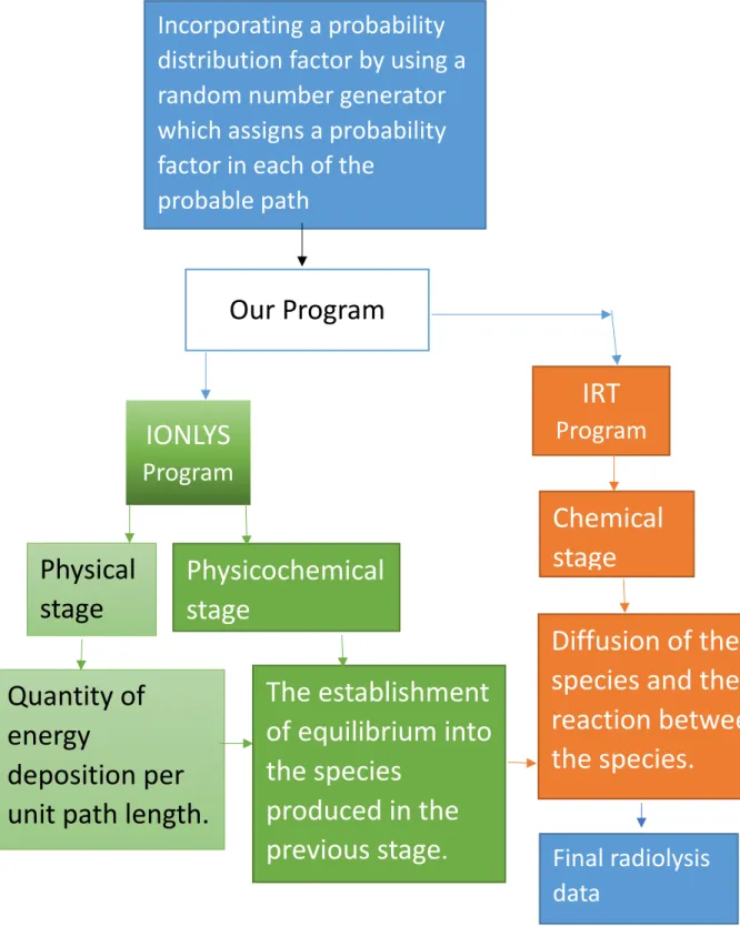 Figure 3.1 – Structure of our Monte Carlo track chemistry simulation code IONLYS- IONLYS-IRT