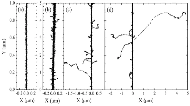 Figure  1.7  illustrates  typical  two-dimensional  representations  of  short  (1-5  μm)  track  segments  of  H + ,  4 He 2+ ,  12 C 6+ ,  and  20 Ne 10+   ions