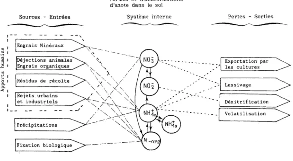Figure 4.2  Sources et pertes de l'azote dans le sol. 