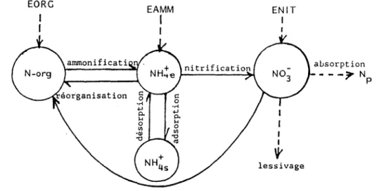 Figure 4.3  Processus pris en compte par la modélisation. 