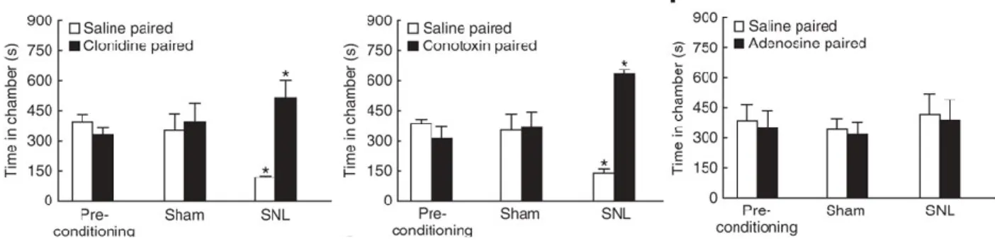 Figure 10 : Test de lieu de préférence conditionnelle pour l’étude des douleurs spontanées  (King et al., 2009a)