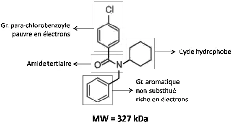 Figure 11. Structure du FPS-ZM1 
