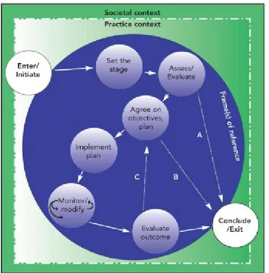 Figure 1. Canadian practice process framework [9] 