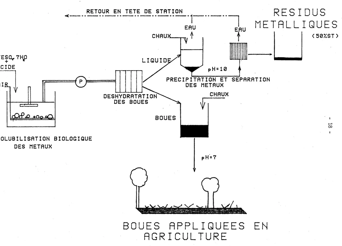 Figure  1.1:  Schéma  du  procédé  applicable  pour  la  décontamination  biologique  des  boues  d'épuration
