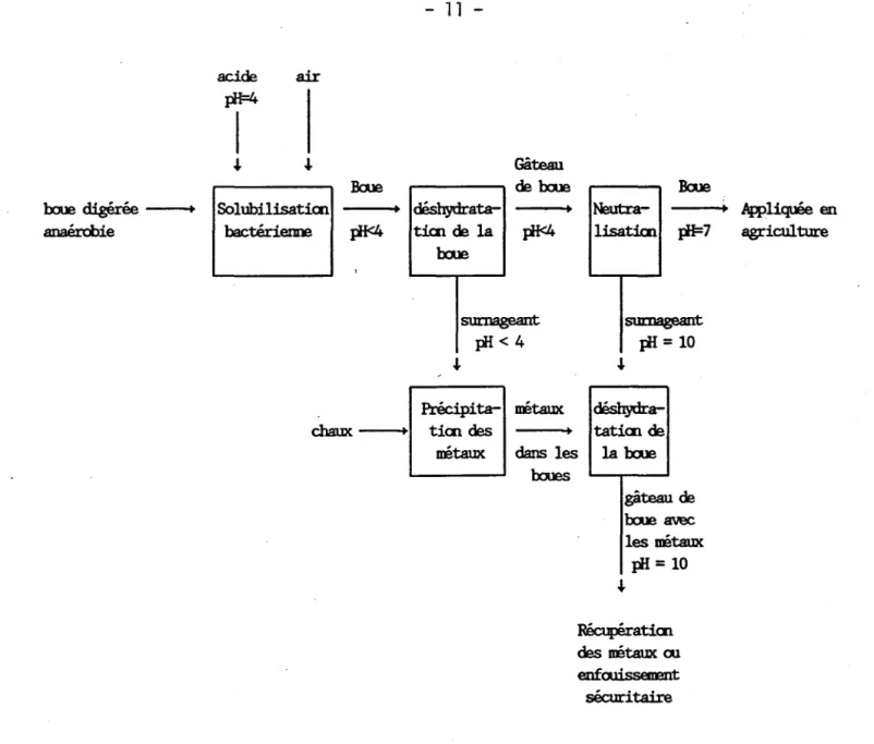 Figure 1.1: I1lustratiŒl  du  procédé  d'  en1èveœnt  des  métaux  par solubilisatiœ bactérienne  sur  des  booes  digérées  anaérobies  (Tiré de  \mg  et  &amp;Dry,  1983)