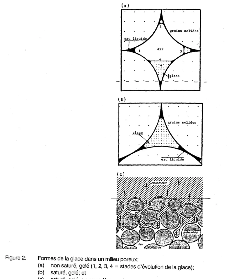 Figure 2:  Formes de la glace dans un milieu poreux: 