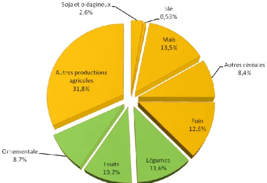 Figure 1.1  Répartition  des  cultures  par  type  au  Québec  en  2006.  Inspirée  de  Statistique  Canada,2008b