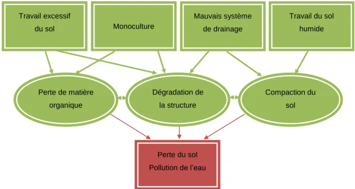 Figure 1.6  Impacts de l’agriculture sur le sol. Améliorée de CPVQ, 2000b, p.2. 