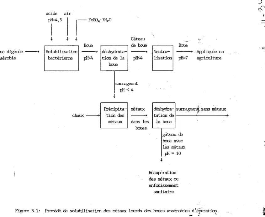 Figure  3.1:  Procédé  de  solubilisation  des  rœtaux  lourds  des  boues  anaérobies  d' épûratiOI;l