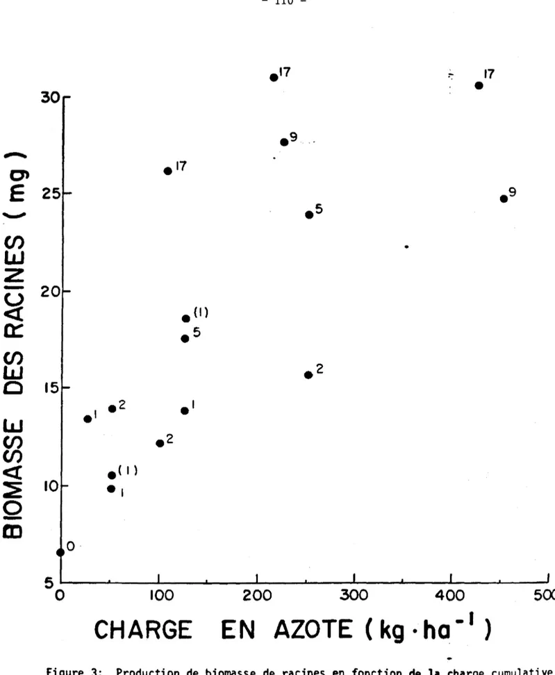 Figure  3:  Production  de  biomasse  de  racines  en  fonction  de  la  charge  cumulative  d'azote