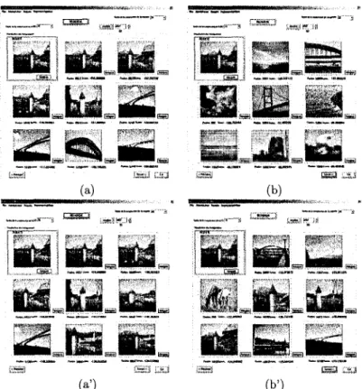 Figure 6: Comparison (m = 10): a) first 7 color images retrieved after being represented by their hi, h a  and  fit,, b) second 7 color images retrieved after being represented by their h L , h a  and ht,, a') first 7 color images  retrieved after being re
