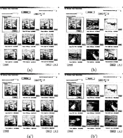 Figure 9: Comparison (m = 20): a) first 7 color images retrieved after using weights equal to 1, b) second  7 color images retrieved after using weights equal to 1, a') first 7 color images retrieved after using weights  computed by the logistic regression