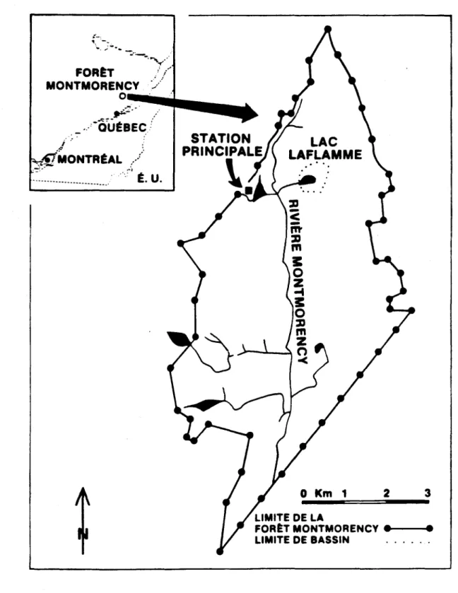 FIGURE  1.  IDealisation  de  la  Forêt  Montmorency 