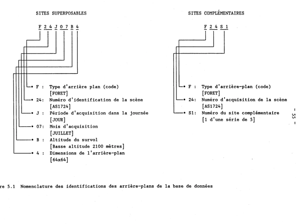 Figure  5.1  Nomenclature  des  identifications  des  arrière-plans  de  la  base  de  données 