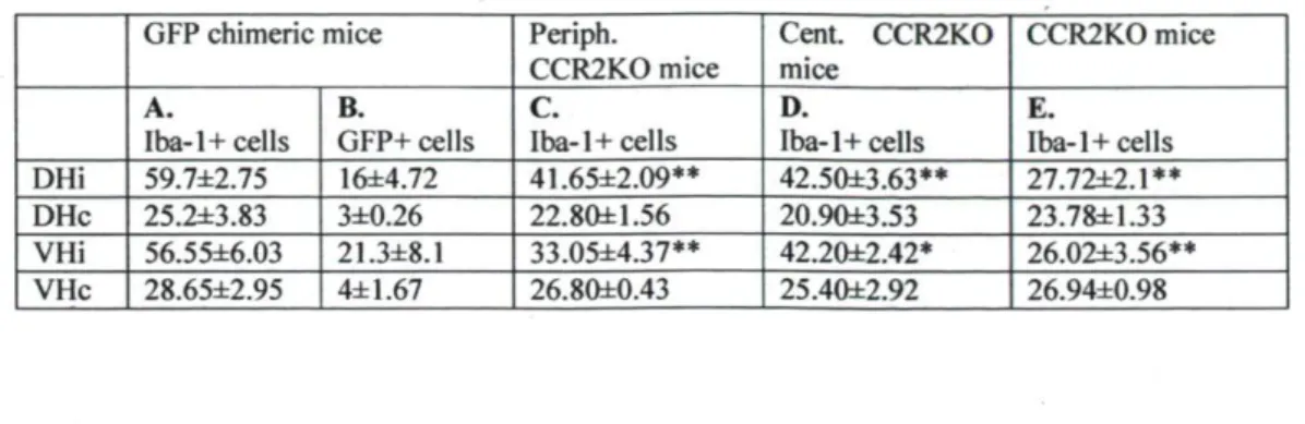 Table 1. Quantification of Iba-1  cell numbers in the lumber spinal cord of mice  with different CCR2 genetic background 14 d after peripheral nerve injury 