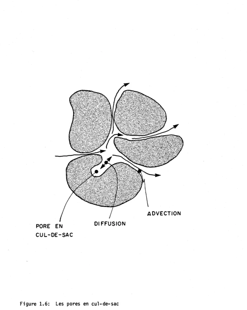 Figure  1.6:  Les  pores  en  cul-de-sac 