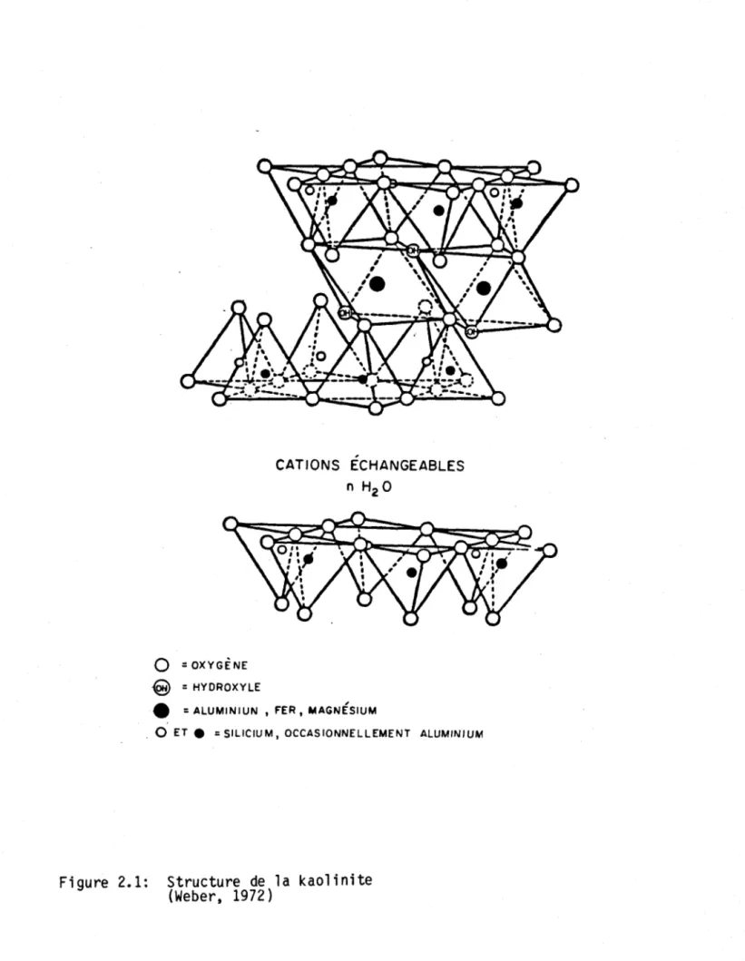 Figure  2.1:  o  =  OXYGÈNE -Q =  HYDROXYLE  ,  CATIONS  ECHANGEABLES n H20 