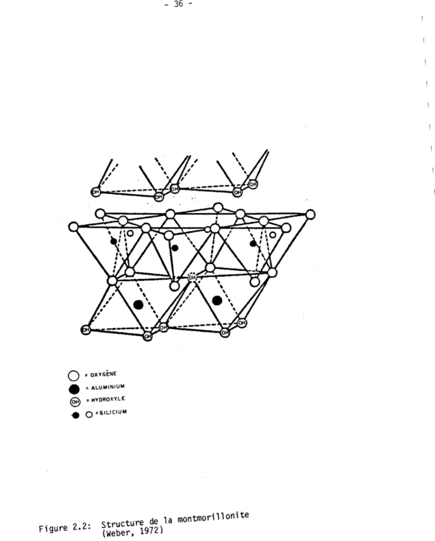 Figure  2.2:  Structure  de  la  montmorillonite  (Weber,  1972) 