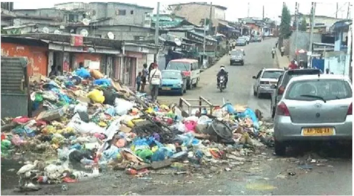 Figure 1.7 Déchets ménagers le long d’une route de Libreville en absence prolongée de levée  (Boukika, 2020) 