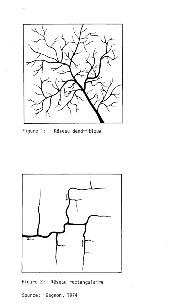 Figure  1:  Réseau  dendritique 