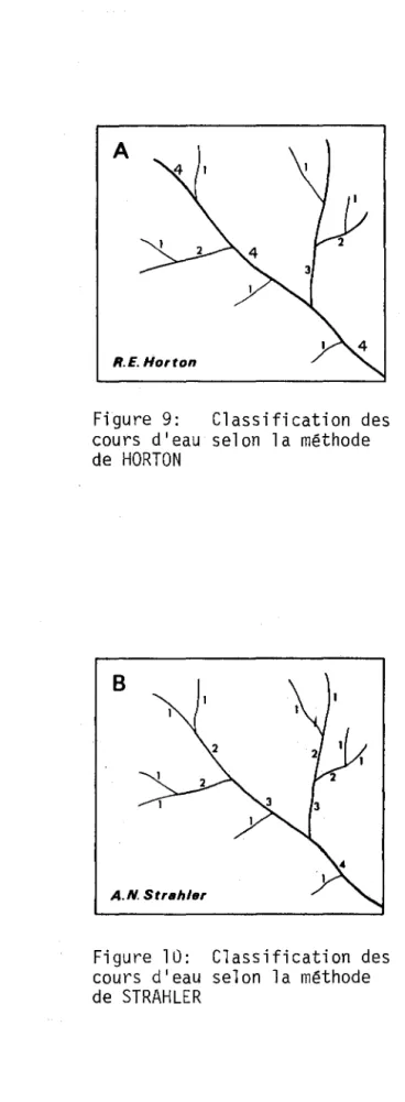 Figure  9:  Classification  des  cours  d'eau  selon  la  méthode  de  HORTON 