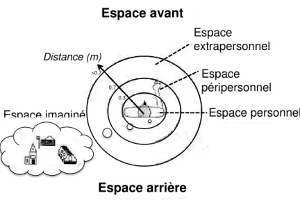 Figure 2. Représentation schématique des différents secteurs de l’espace pouvant être affecté par la NSU   Adapté et traduit de Kerkhoff (2001)