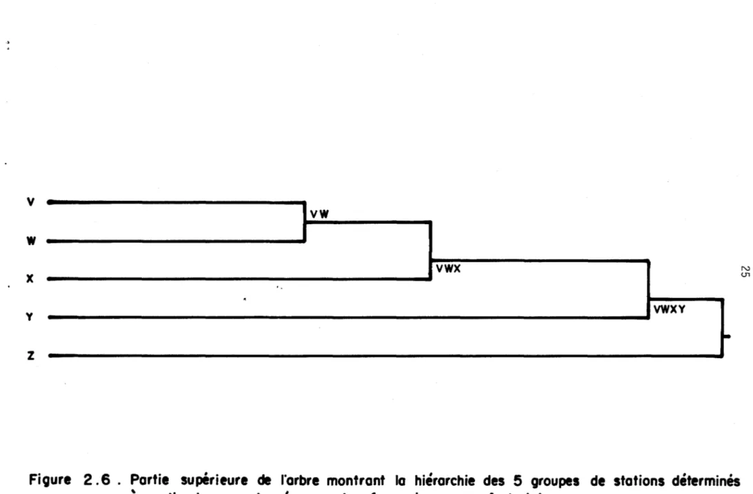 Figure  2.6.  Partie  supérieure  de  I&#34;arbre  montrant  la  hiérarchie  des  5  groupes  de  stations  déterminés 