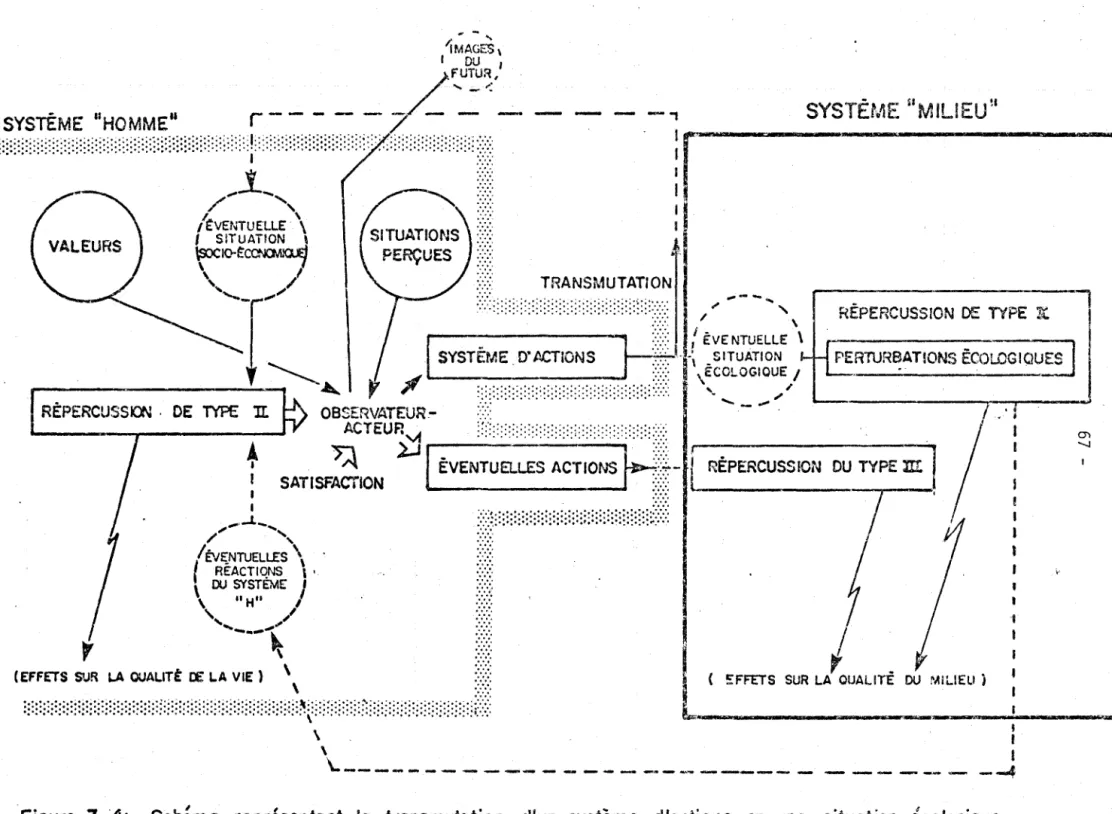 Figure  3.4'.  Schéma  représentant  la  transmutation.  d'un  système  d'actions  en  une  situation  écologique  (-éventuelle) , et  ses  conséquences- (répercussion  de  type  II  et  de  type  lI!)  dans  le  systëme 