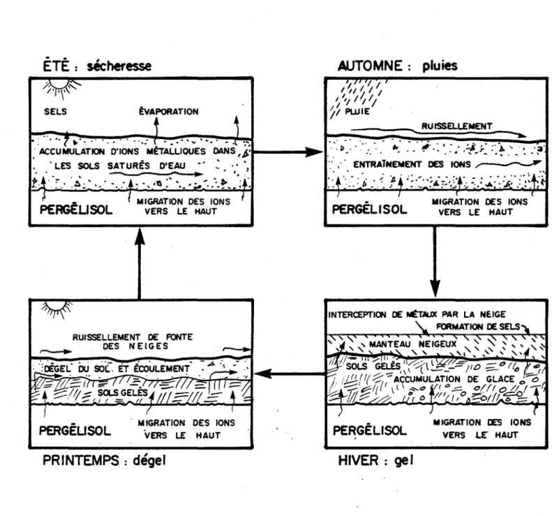 Figure  1.3  • Les  effets  du  pergélisol  sur  les  processus  de  libération  d'un  métal