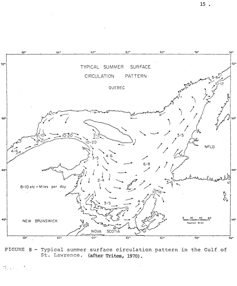 FIGURE  8  - Typical  summer  surface  circulation  pattern  in  the  Gulf  of  St.  Lawrence,  (after Trites,  1970)
