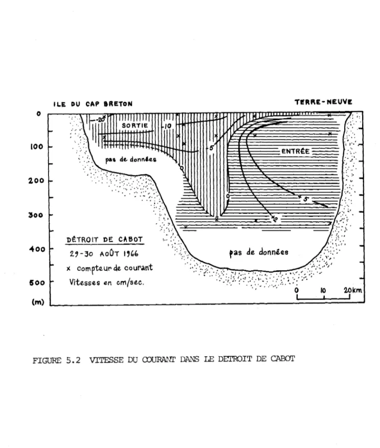 FIGURE  5.2  VITESSE  DU  COURA..\'T  DA.t.\'S  LE  DETROIT  DE  CABŒ' 