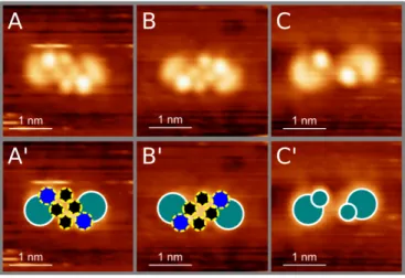 Figure 2.2  A and B show images of homochiral S and R TFPE dimers observed on Pt(111) surface at the start of STM experiments