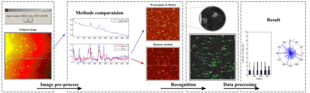 Figure 2.7  Image recognition process. From left to right: a raw image to be recognized;