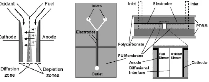 Figure 2.15  Schematic of the co-laminar flow based fuel cell presented by Choban et al