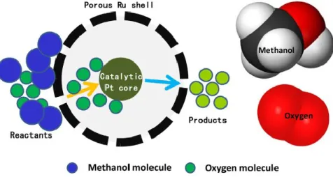 Figure 2.21  Illustration of differential diffusion of oxygen and methanol in cage-bell structure Pt-Ru  nanoparticles [80]