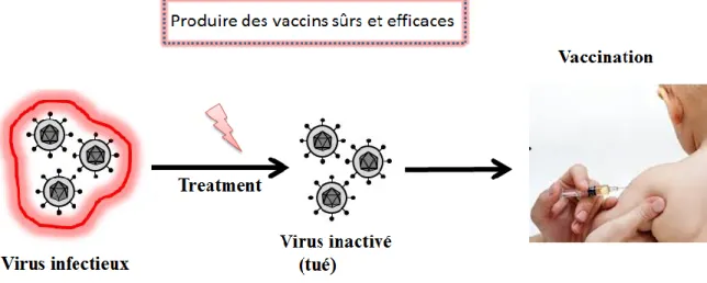 Figure 2. 3  Le concept d'inactivation virale pour la génération de vaccins [37]. 