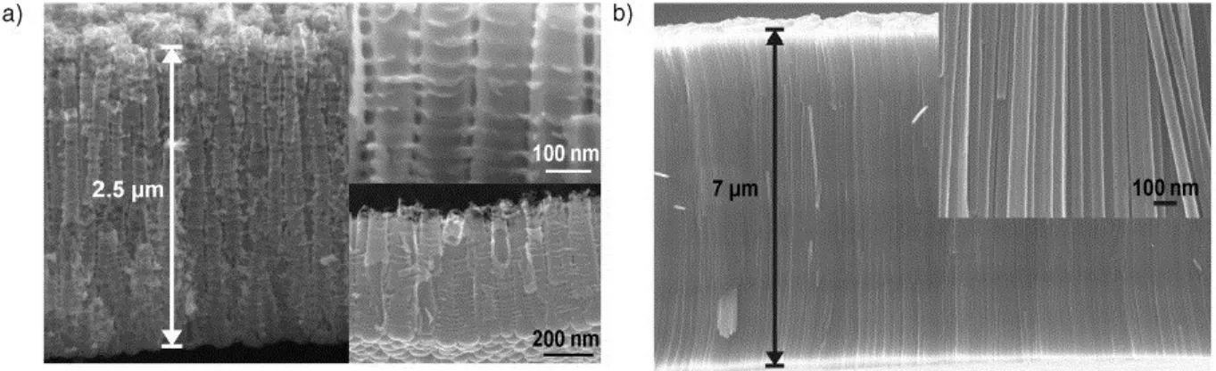 Figure II.3 : Comparaison entre des nanotubes synthétisés dans un électrolyte (a) aqueux et (b)  organique[20]