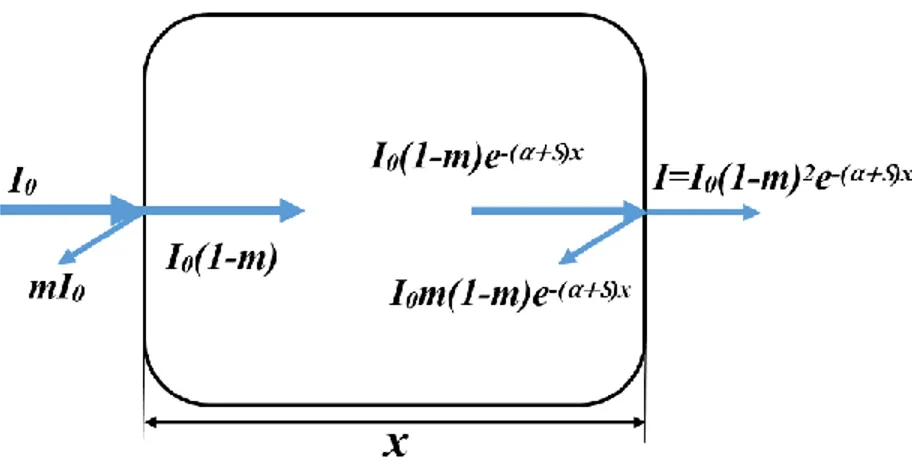 Figure 1.3 The schematic illustration of transmitted light vs incident light. 